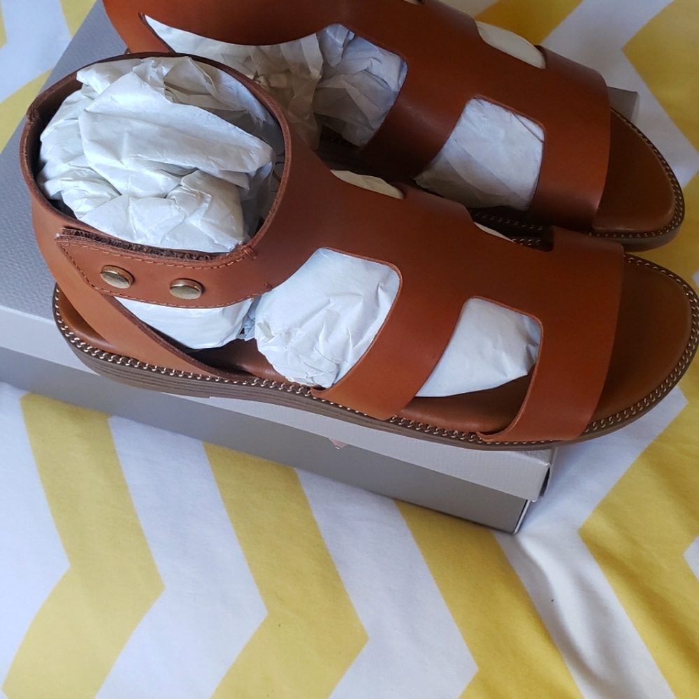 Franco Sartorial Gladiators